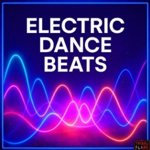 ELECTRIC DANCE BEATS: submit your song
